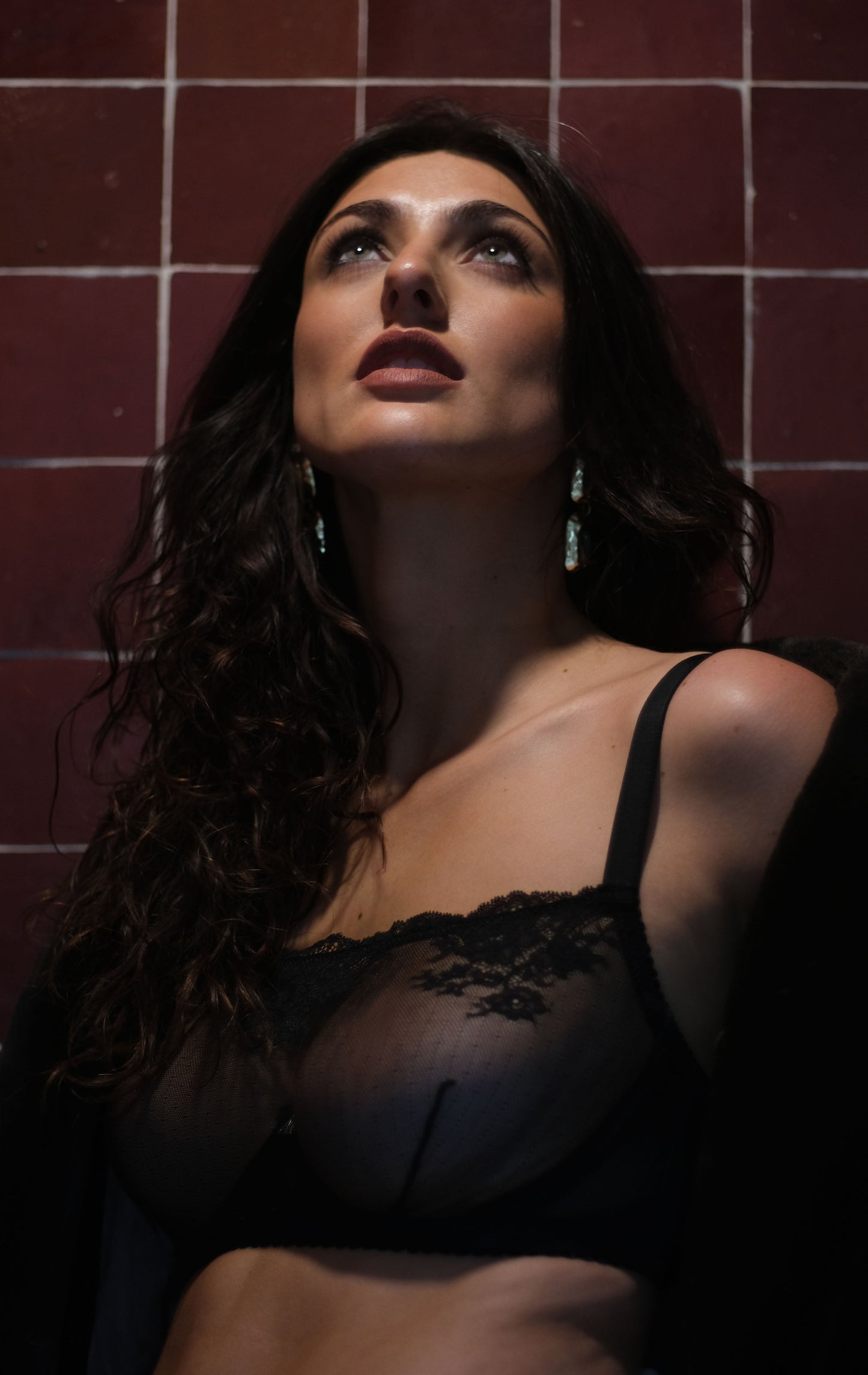 Kim High Neck Sheer Lace Underwire Bra
