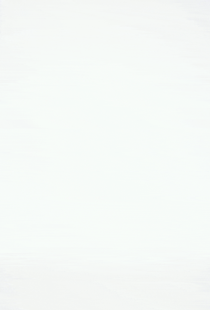 Deborah 2.0 Brown Croco