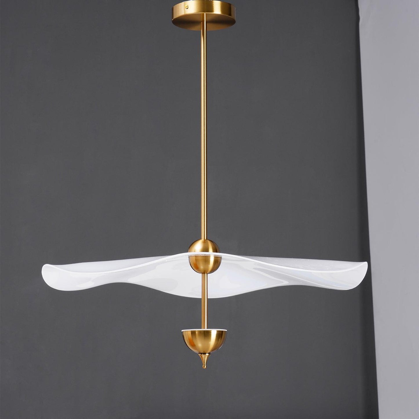 Double Biscuit Pendant Light | Elegant Metal and Acrylic Design with Integrated LED 9
