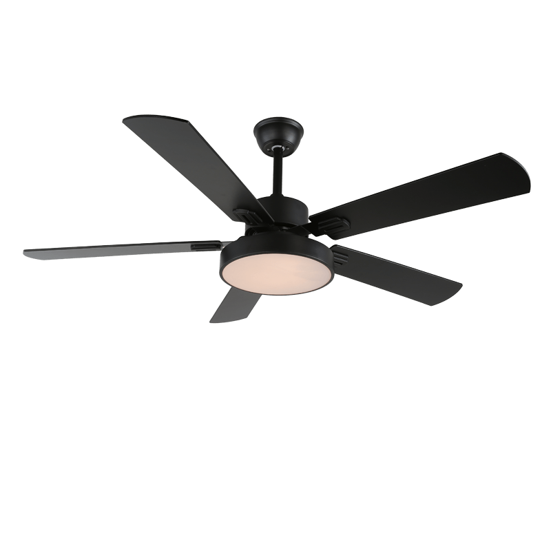 Elegant Ceiling Fan Light | Integrated LED & Variable Frequency Motor 8