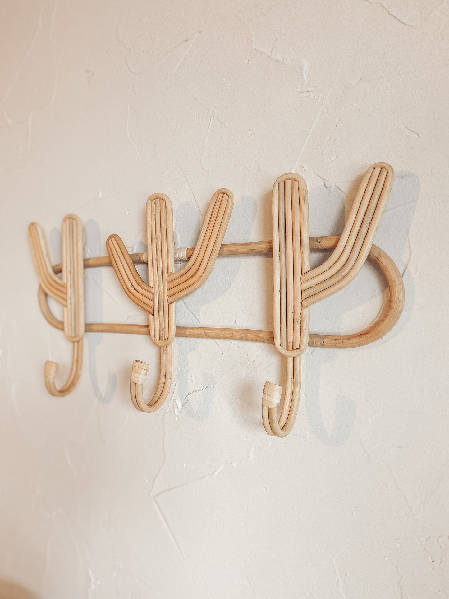Cactus Multi Wall Hook