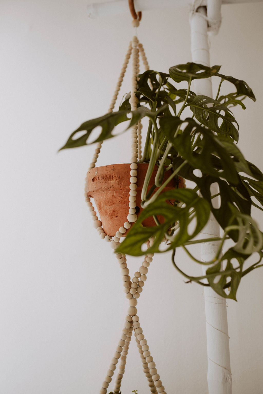 Wood Beaded Plant Hangers