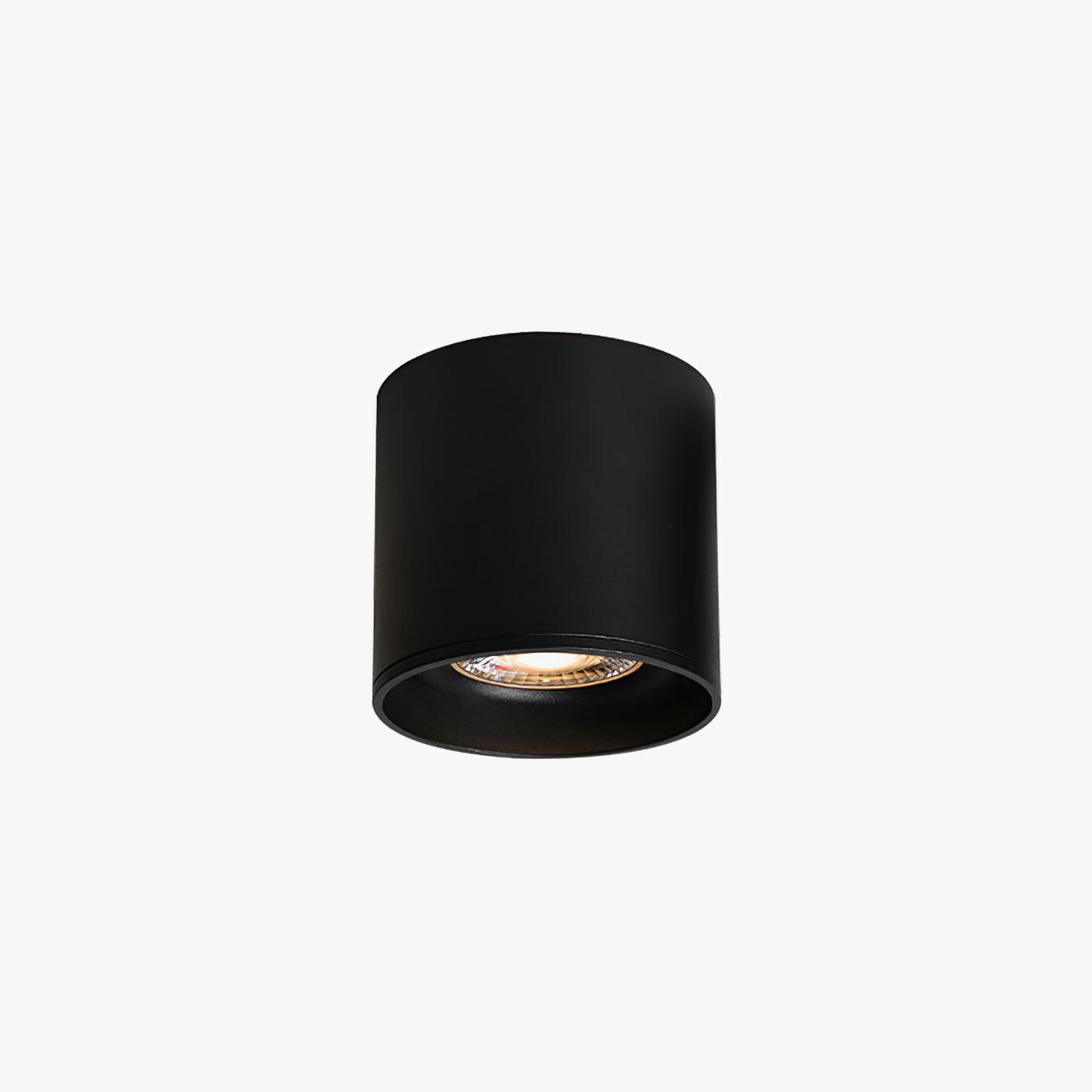 Modern Ceiling Light Fixture | Sleek Metal Design with LED Lens 0