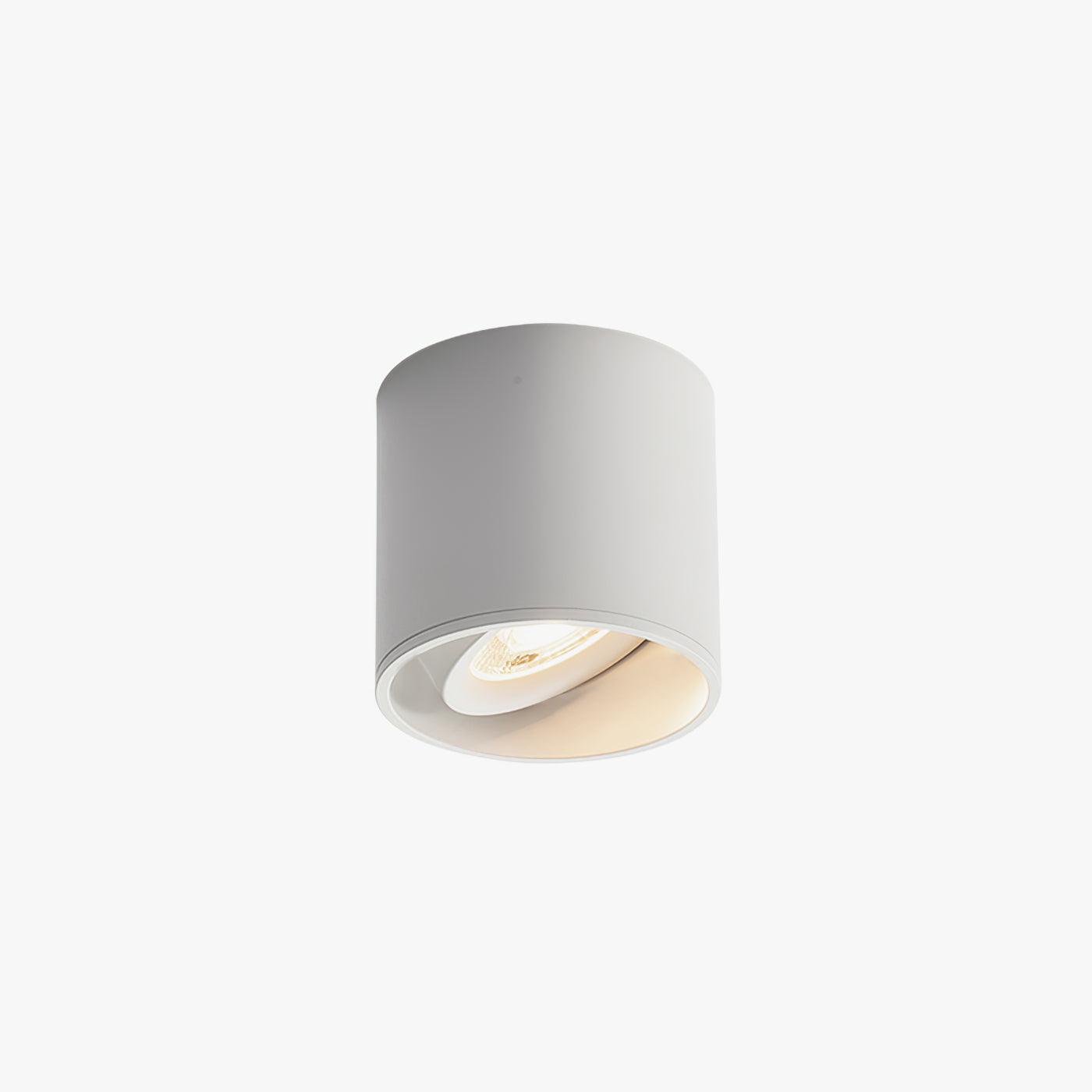 Modern Ceiling Light Fixture | Sleek Metal Design with LED Lens 9