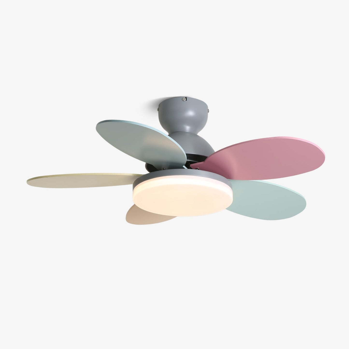 Petalo Ceiling Fan Light | Elegant Flower Petal Design with LED Lighting 1