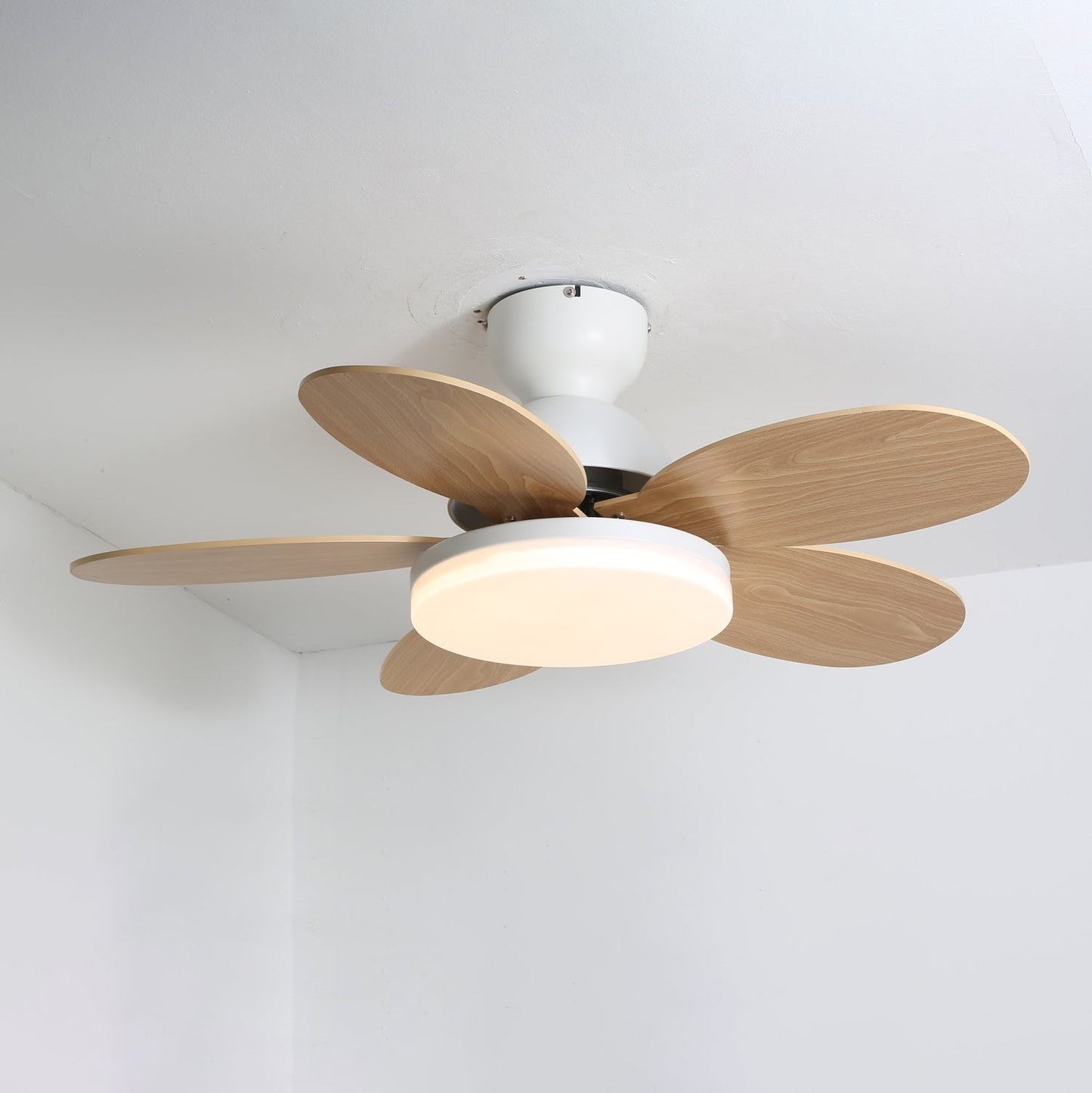 Petalo Ceiling Fan Light | Elegant Flower Petal Design with LED Lighting 10