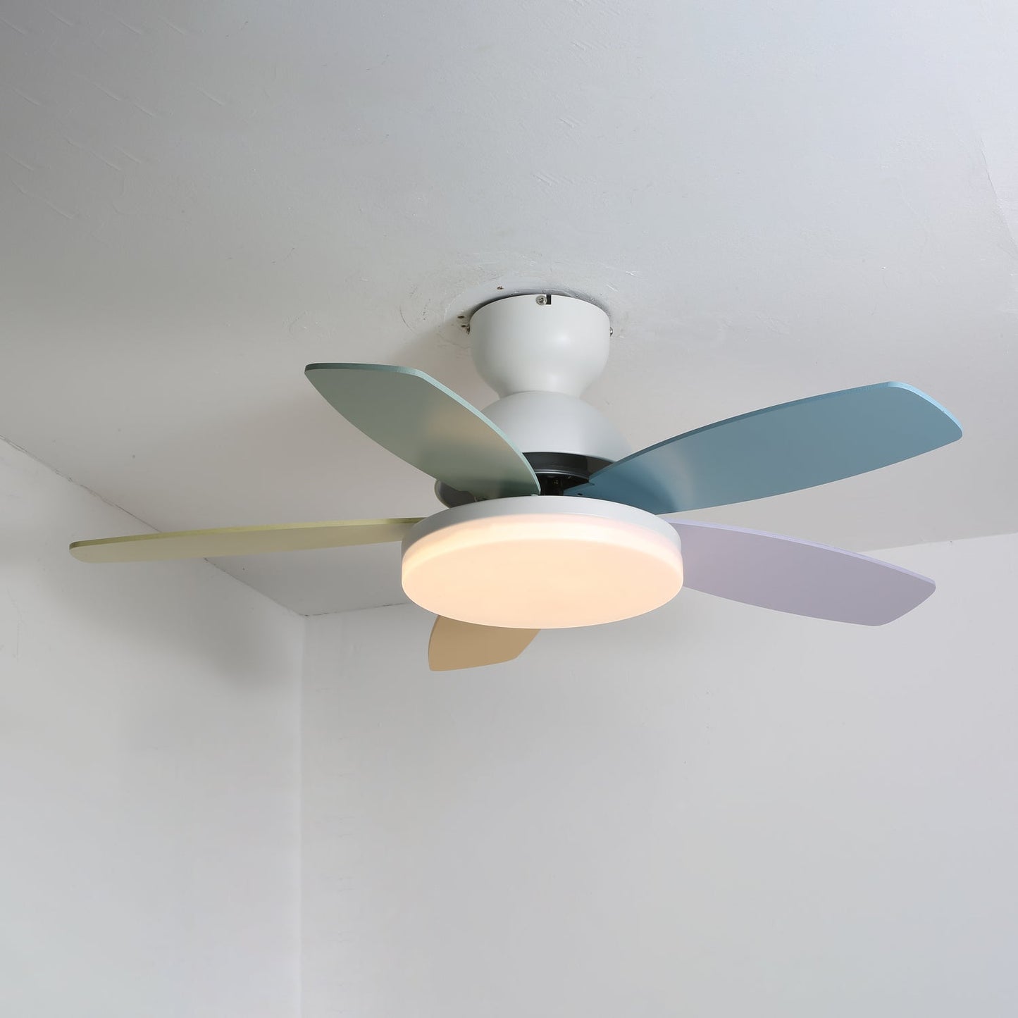 Petalo Ceiling Fan Light | Elegant Flower Petal Design with LED Lighting 11
