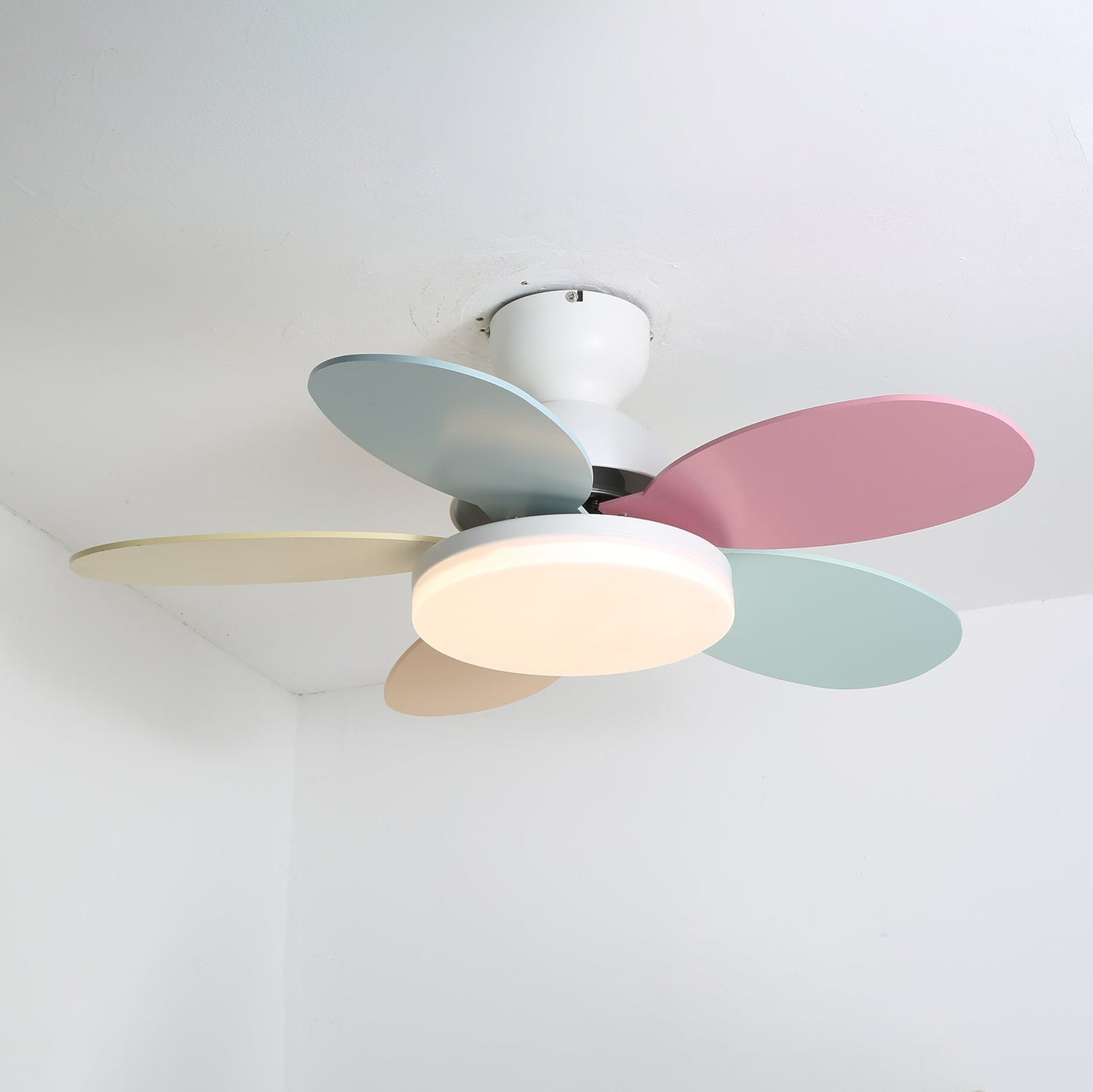 Petalo Ceiling Fan Light | Elegant Flower Petal Design with LED Lighting 4