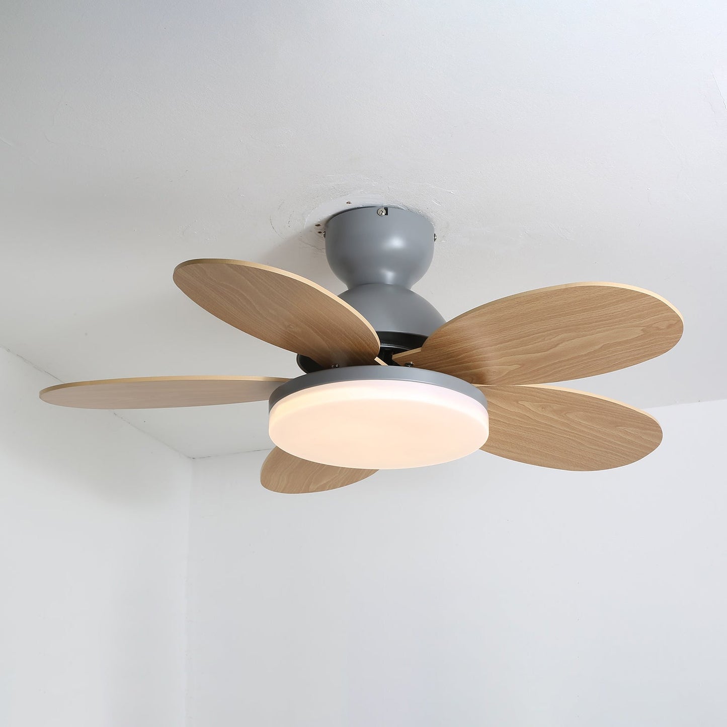 Petalo Ceiling Fan Light | Elegant Flower Petal Design with LED Lighting 5