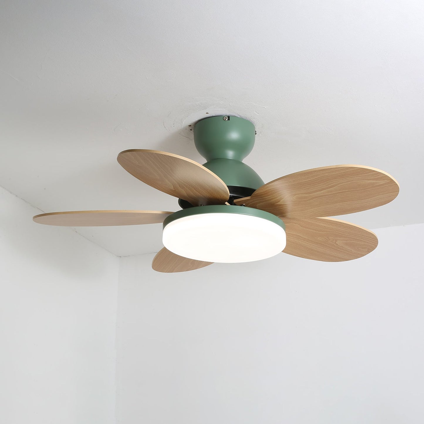 Petalo Ceiling Fan Light | Elegant Flower Petal Design with LED Lighting 8