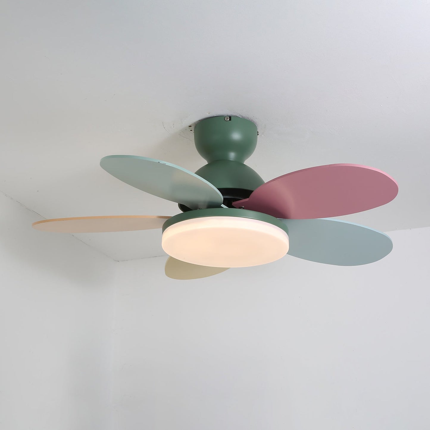 Petalo Ceiling Fan Light | Elegant Flower Petal Design with LED Lighting 9