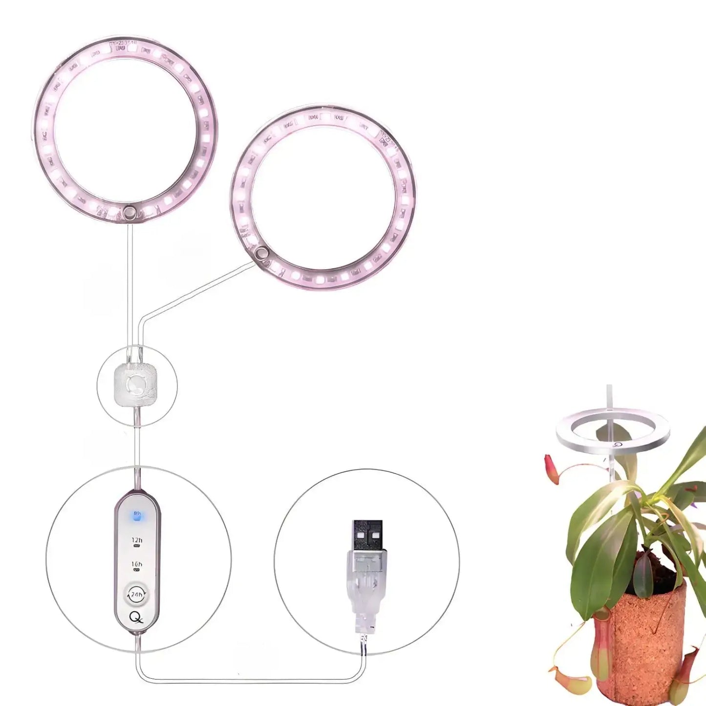 LED växtlampa fullspektrum ängelring USB-lampa för inomhusväxter