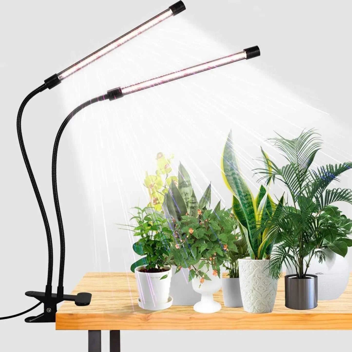 LED växtlampa USB fyto fullspektrum