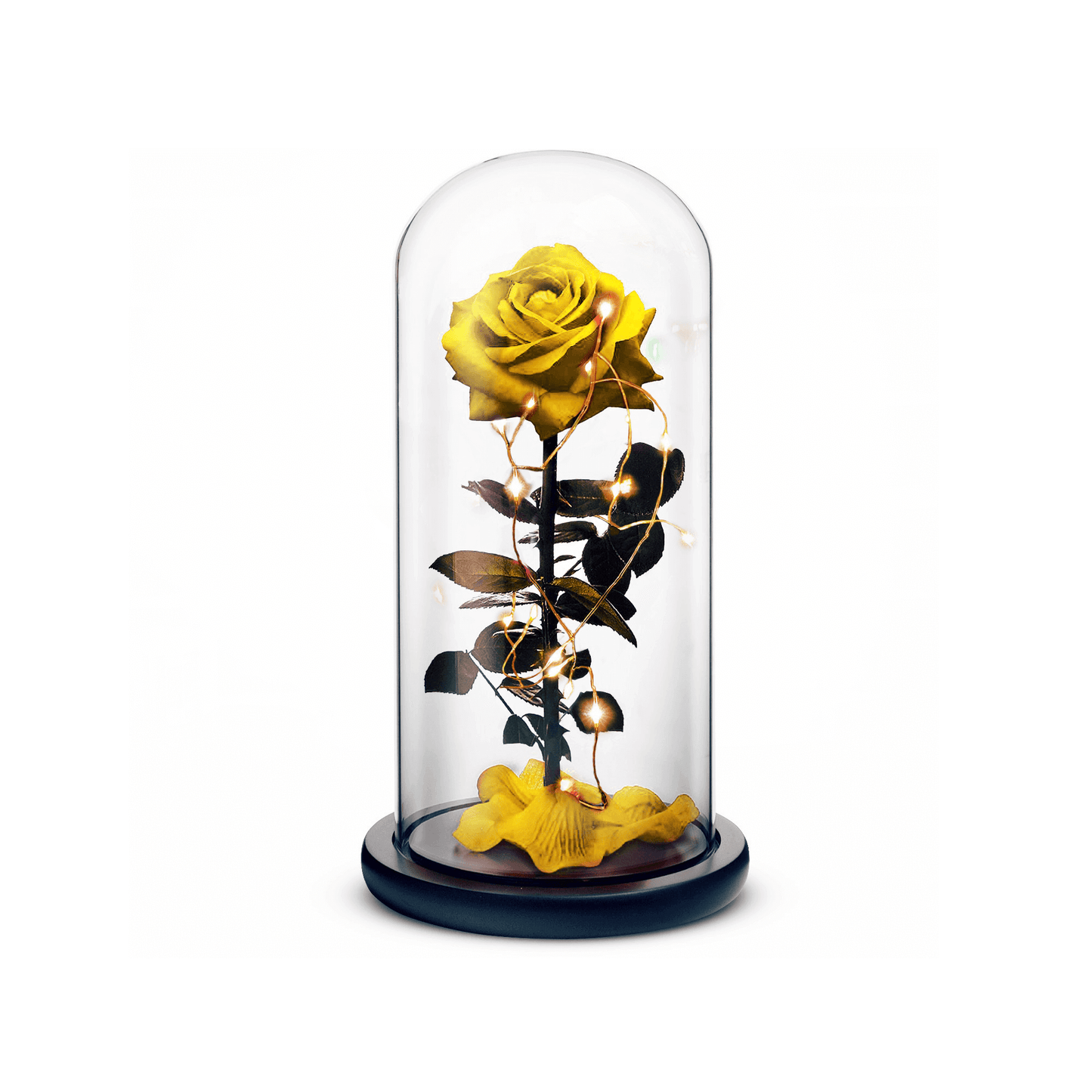 Beauty and The Beast Rose (Yellow)