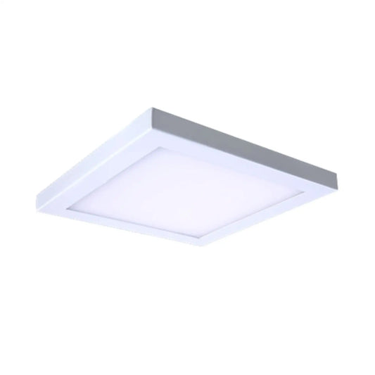 10" 30W LED Plafondlampa för tak | 120V