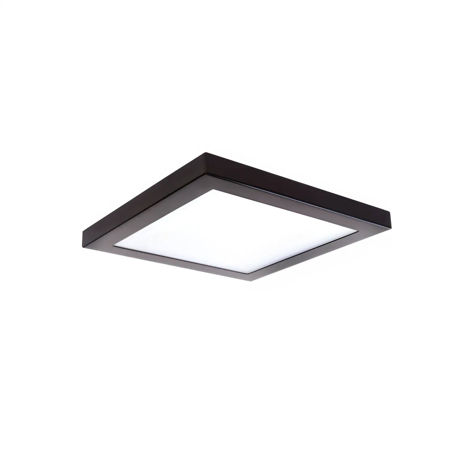 10" 30W LED Plafondlampa för tak | 120V
