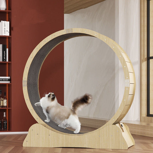 Katze Fitness Roller Silent Sports Laufband Rad