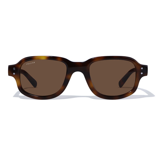 Lunettes de soleil Belize Tres Acetate