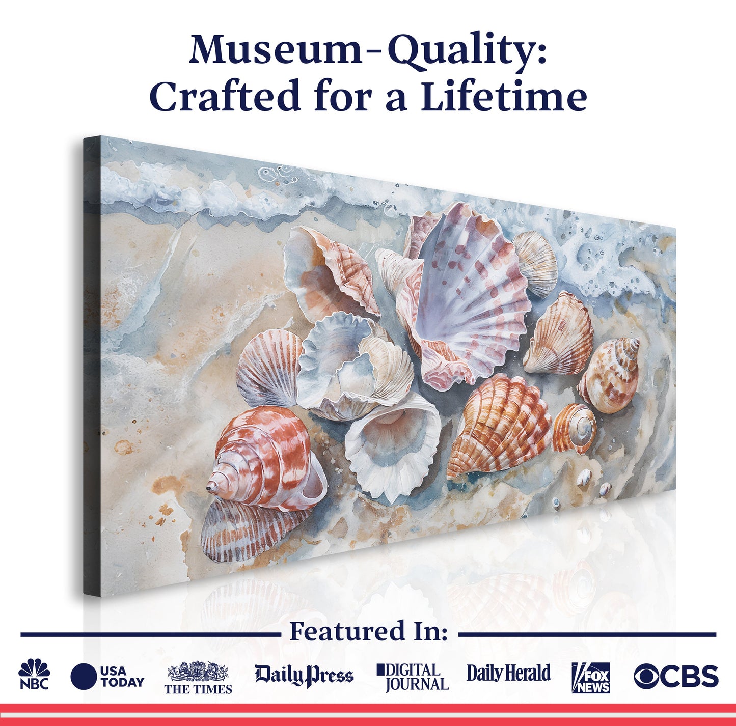 Sea Shells Modern Coastal Wall Art