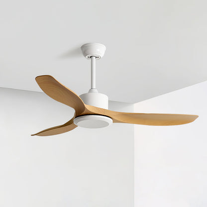 Amelia | Minimalist Ceiling Fan with Reversible Motor & Remote Control 10