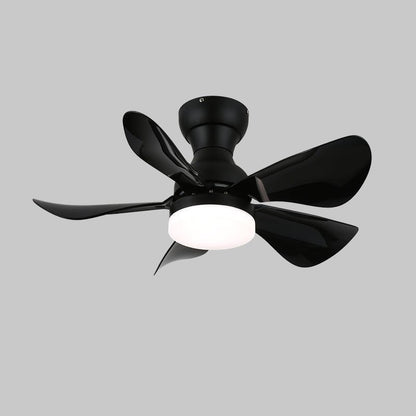 Arilia | 29 Ceiling Fan Light with 6-Speed Control & LED Integration 10