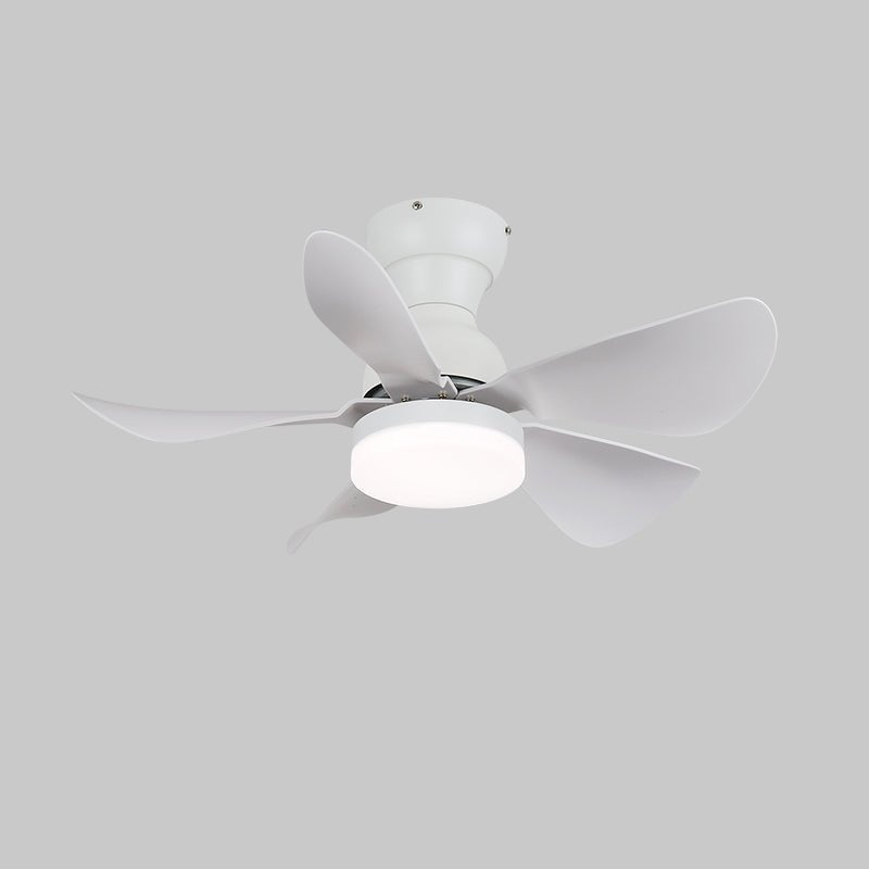 Arilia | 29 Ceiling Fan Light with 6-Speed Control & LED Integration 9