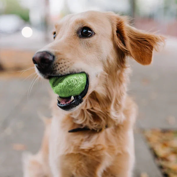 Automatic Rolling Dog Ball | Interactive Rechargeable Toy for Active Play 0