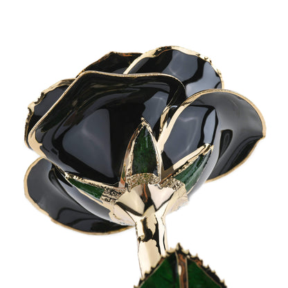 Timeless Rose (Black)