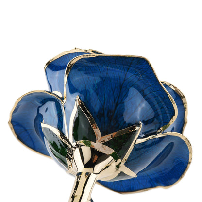 Timeless Rose (Blue)