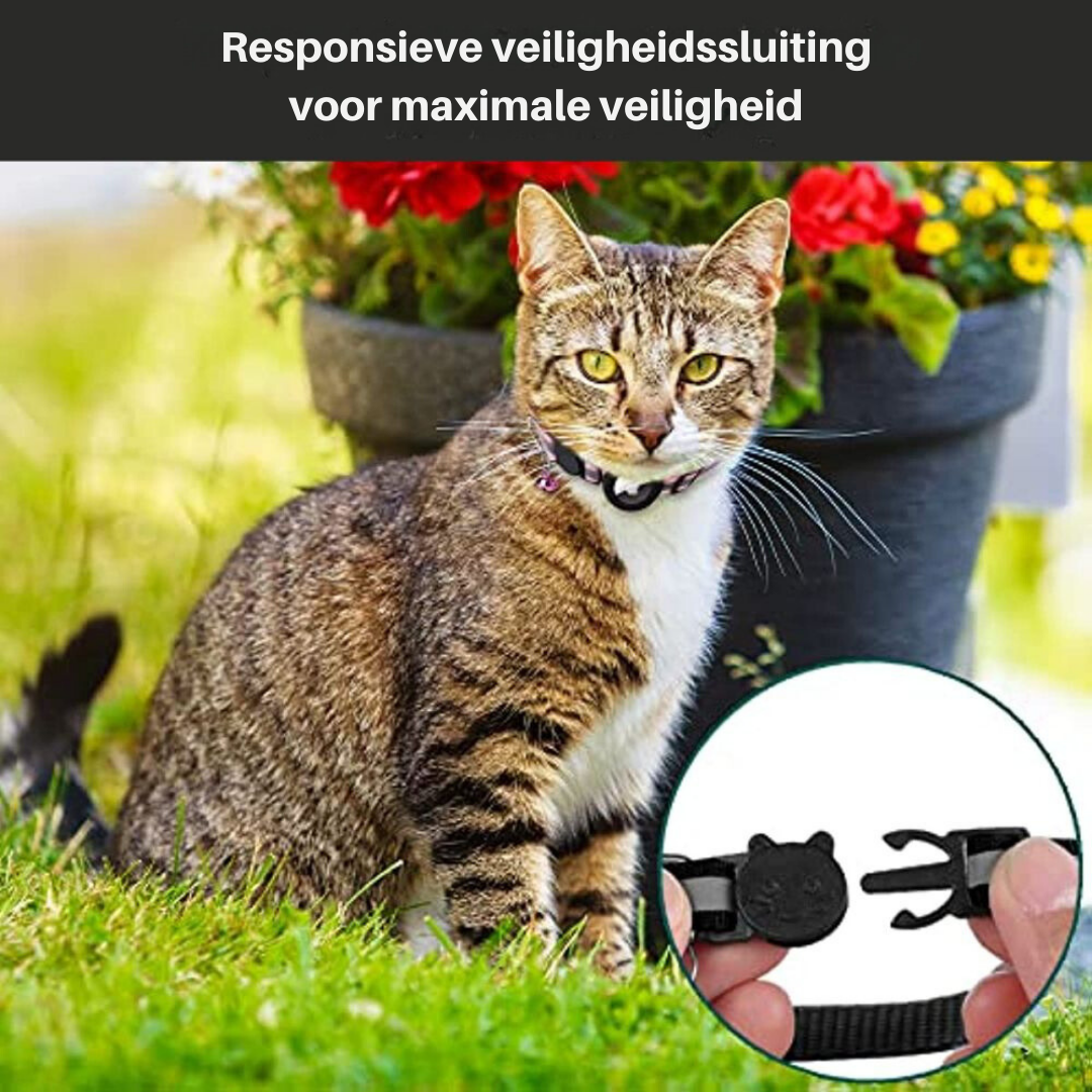 Cat GPS Tracker Collar | Quick Release Closure with Reflective Design 4
