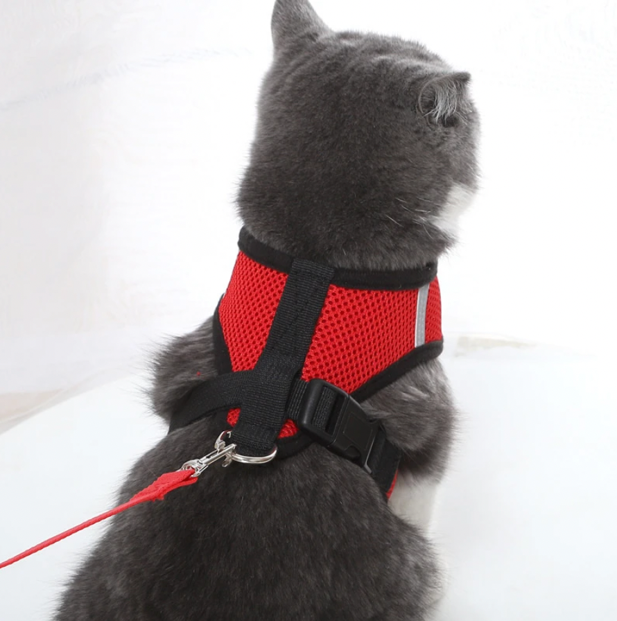 Cat Harness and Leash Set | Adjustable Escape Proof Design for Kittens and Cats 0