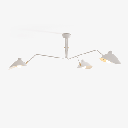 Ceiling Lamp | Dynamic Sculptural Design with LED Compatibility 1