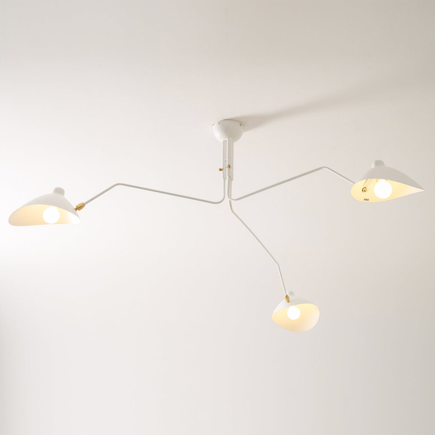 Ceiling Lamp | Dynamic Sculptural Design with LED Compatibility 8
