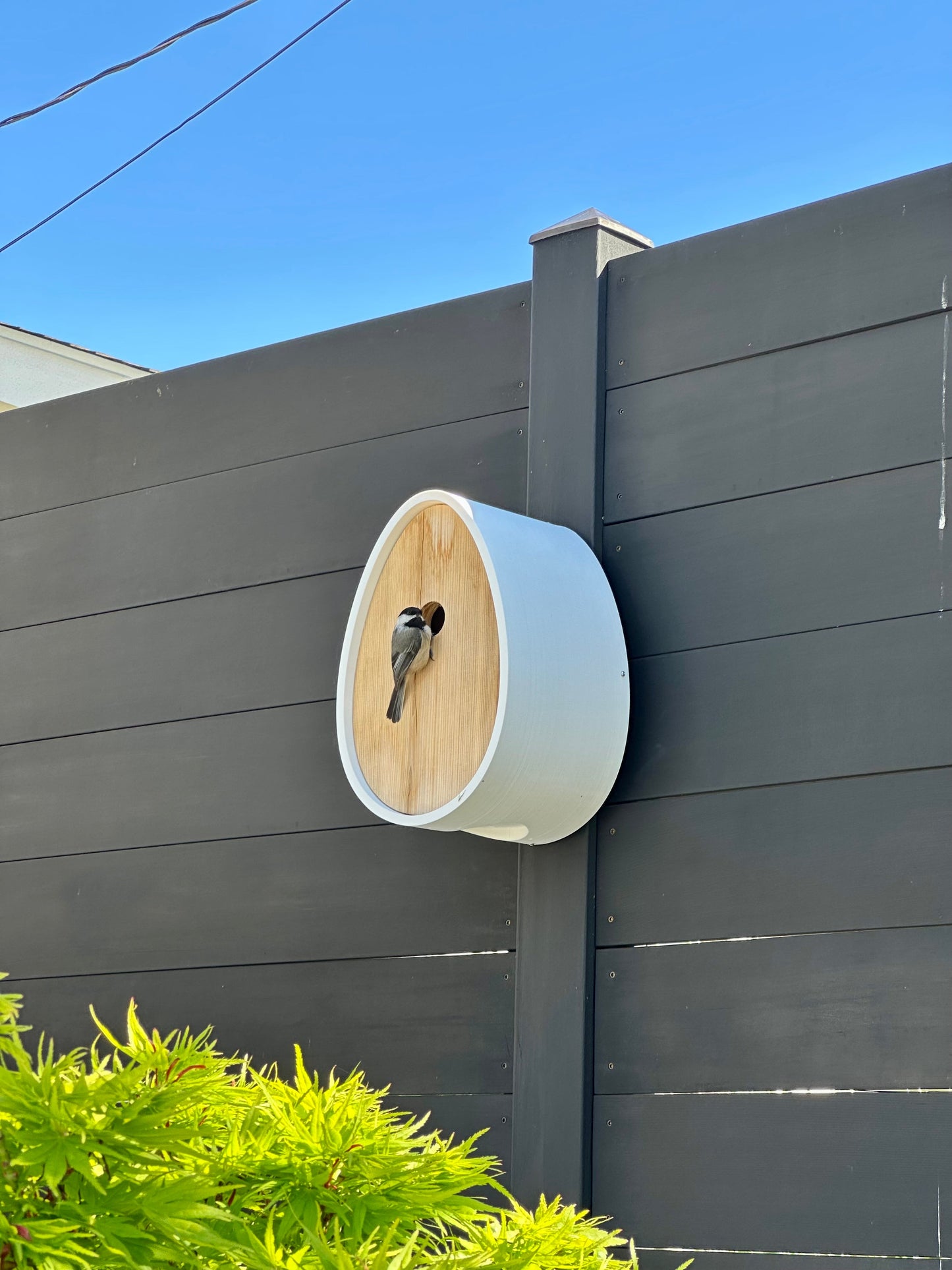 A white and light wood bird house mounted on a dark gray wooden fence, with a small bird perched on the front and green foliage at the bottom against a blue sky.