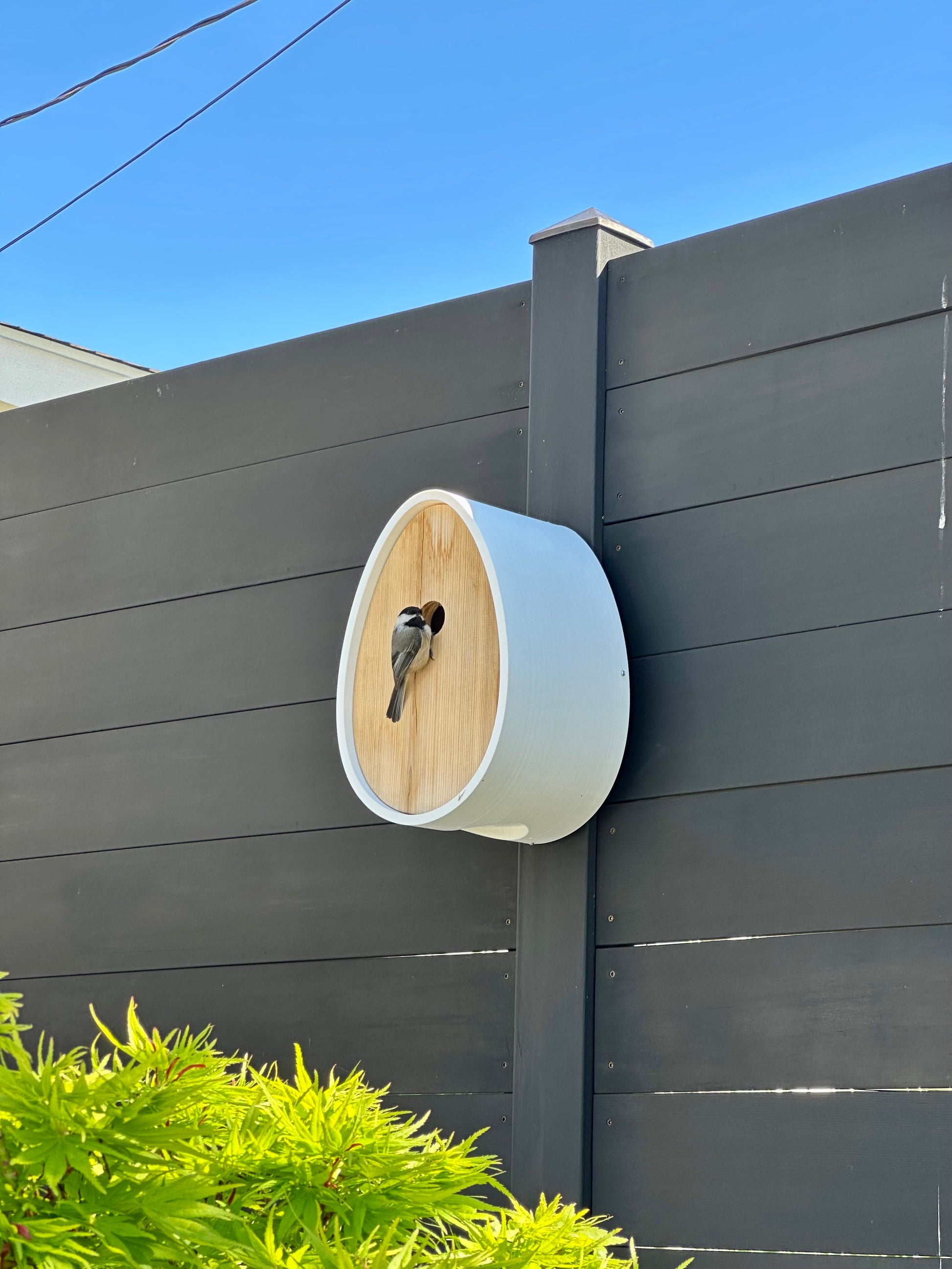 A white and light wood bird house mounted on a dark gray wooden fence, with a small bird perched on the front and green foliage at the bottom against a blue sky.