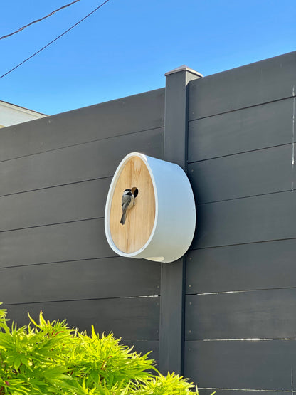 A white and light wood bird house mounted on a dark gray wooden fence, with a small bird perched on the front and green foliage at the bottom against a blue sky.