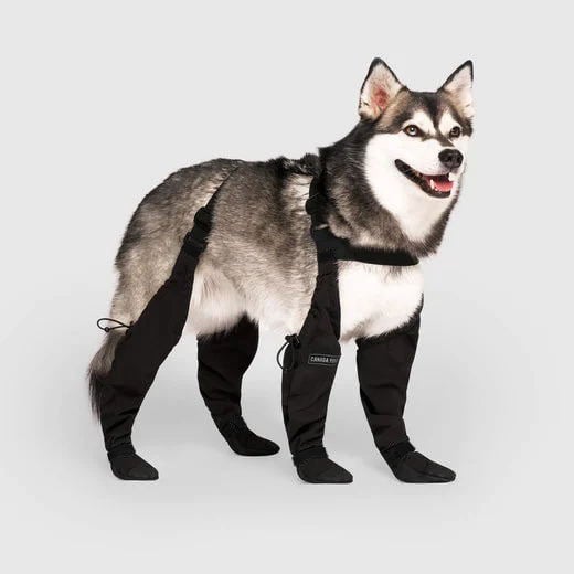 Dog Boots for Winter | Waterproof Dog Shoes for All Weather Protection 0