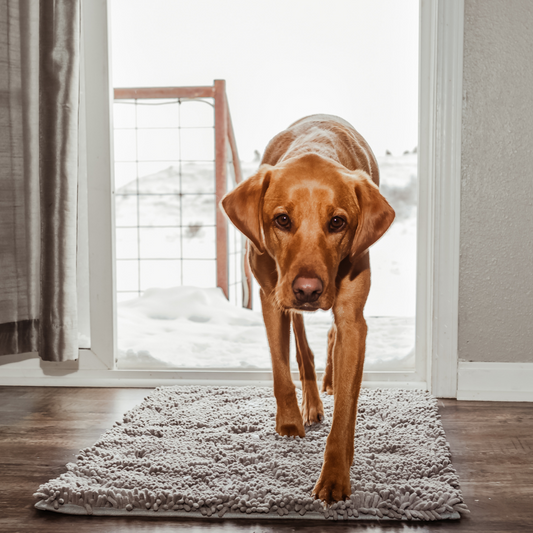 Dog Mat | Highly Absorbent Non-Slip Cleaning Mat for All Floors 0