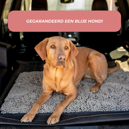 Dog Mat | Highly Absorbent Non-Slip Cleaning Mat for All Floors 1