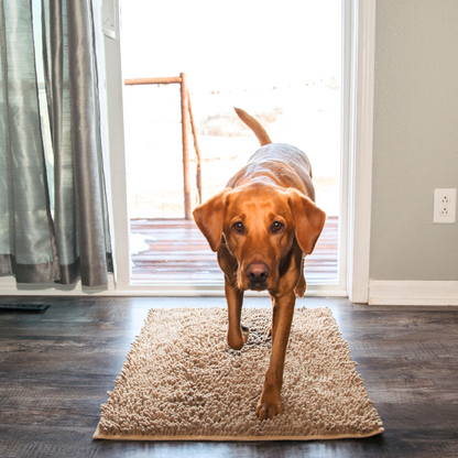 Dog Mat | Highly Absorbent Non-Slip Cleaning Mat for All Floors 5