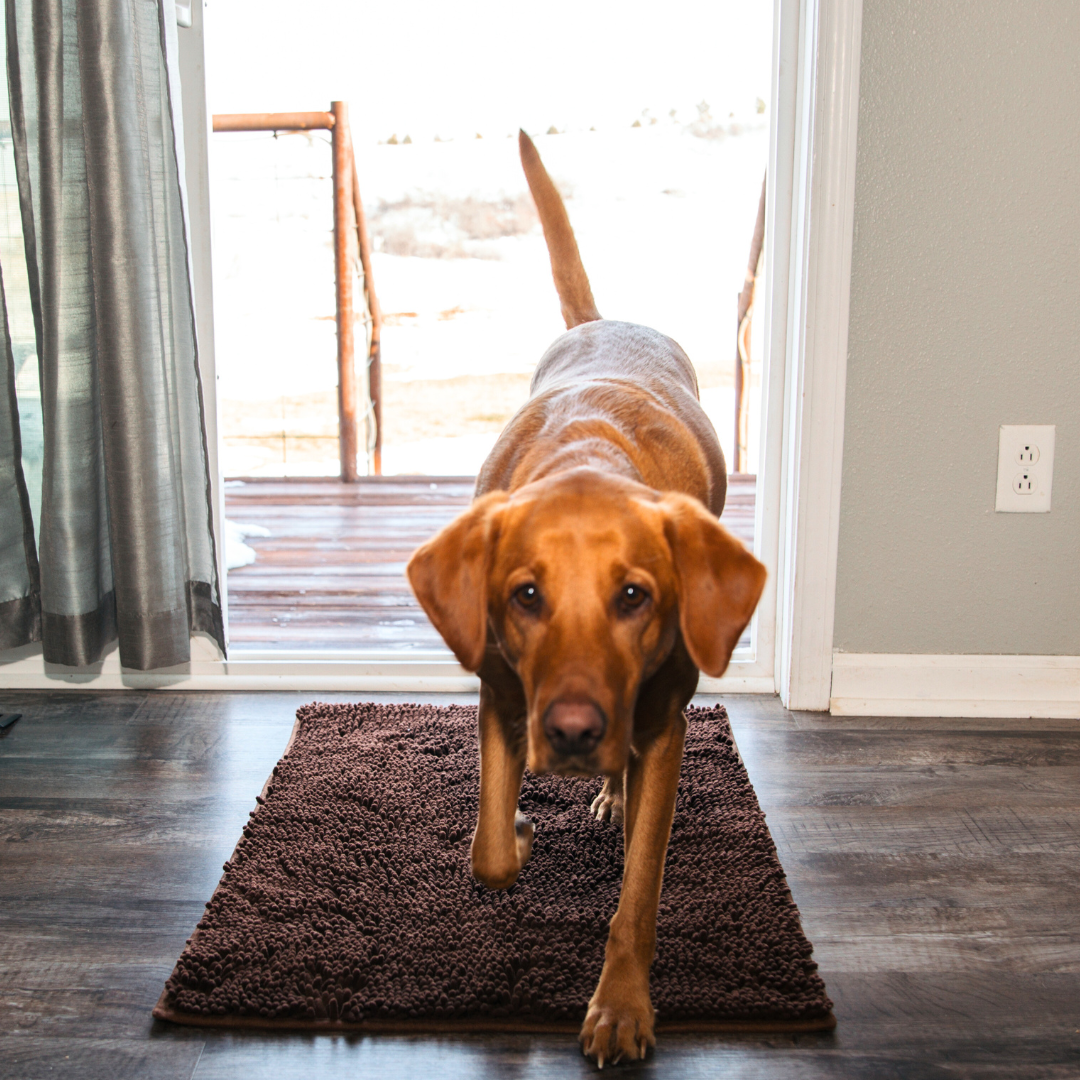 Dog Mat | Highly Absorbent Non-Slip Cleaning Mat for All Floors 6