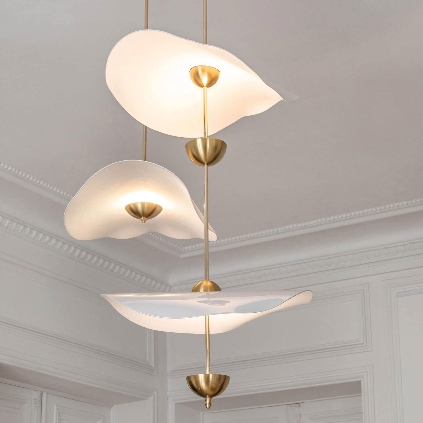 Double Biscuit Pendant Light | Elegant Metal and Acrylic Design with Integrated LED 2