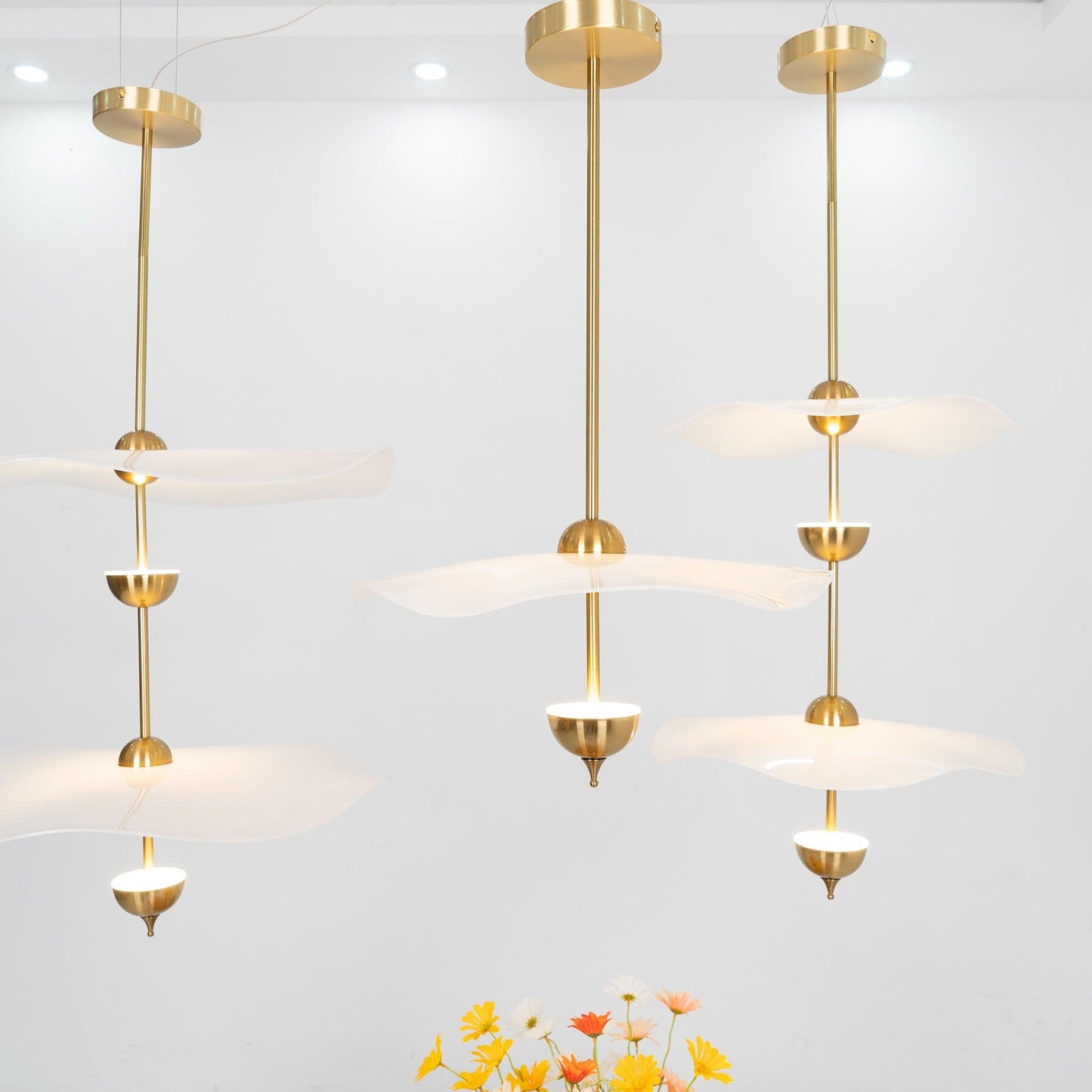 Double Biscuit Pendant Light | Elegant Metal and Acrylic Design with Integrated LED 4