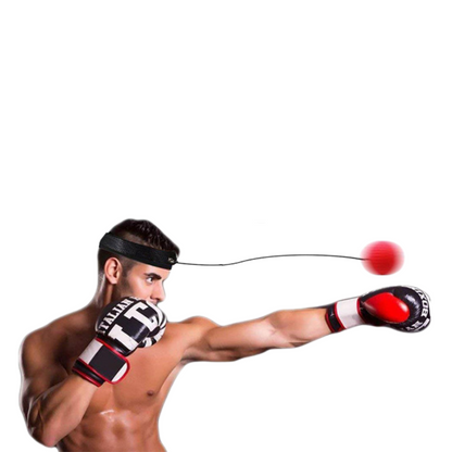 Dynamic Reflex Training System | Improve Coordination and Reaction Time 2