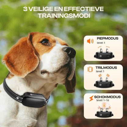 Electric Dog Training Collar | Waterproof with Remote Control & 16 Shock Levels 3