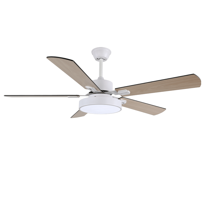 Elegant Ceiling Fan Light | Integrated LED & Variable Frequency Motor 5