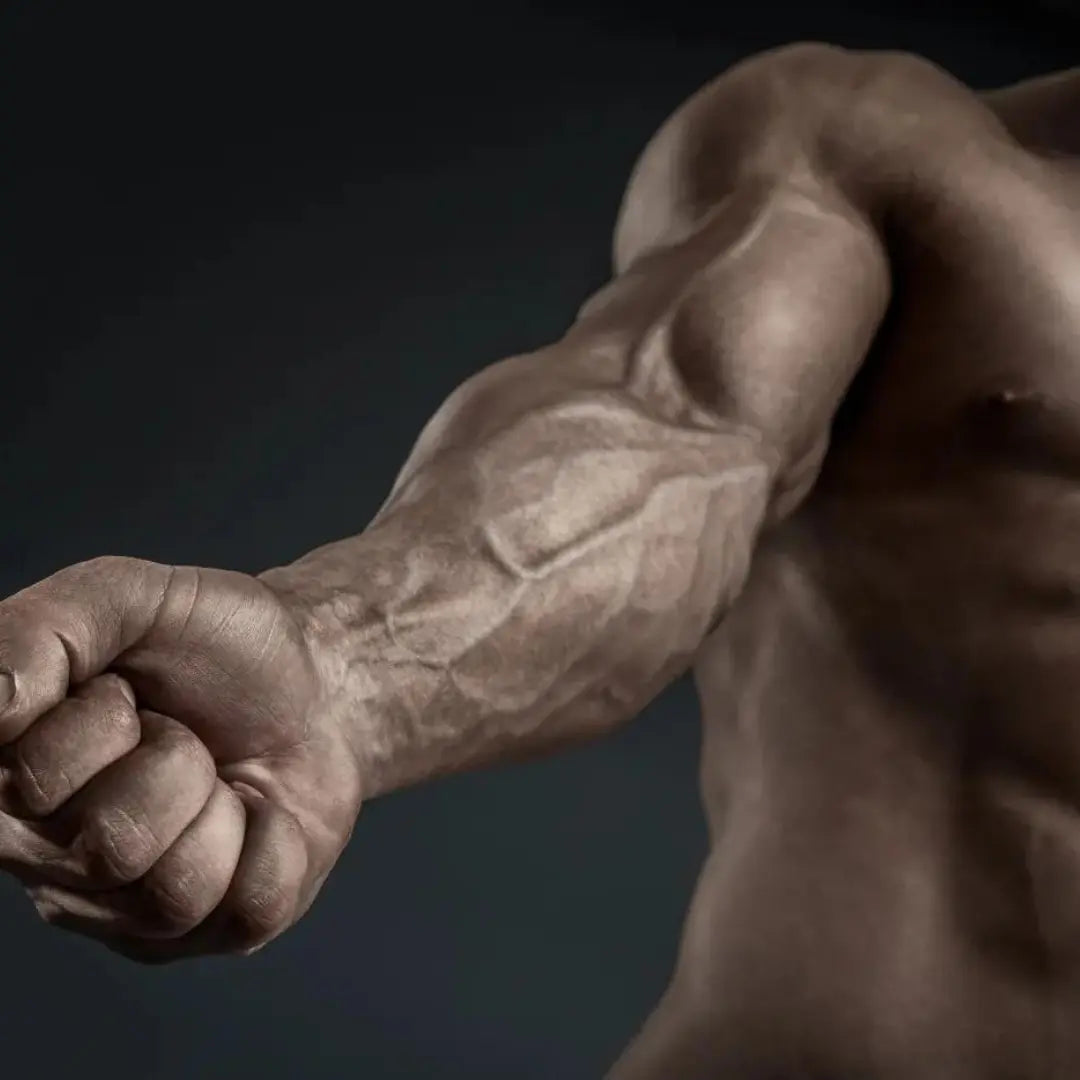 Finger and Forearm Strength Trainer | Portable Grip Enhancer for Improved Performance 3