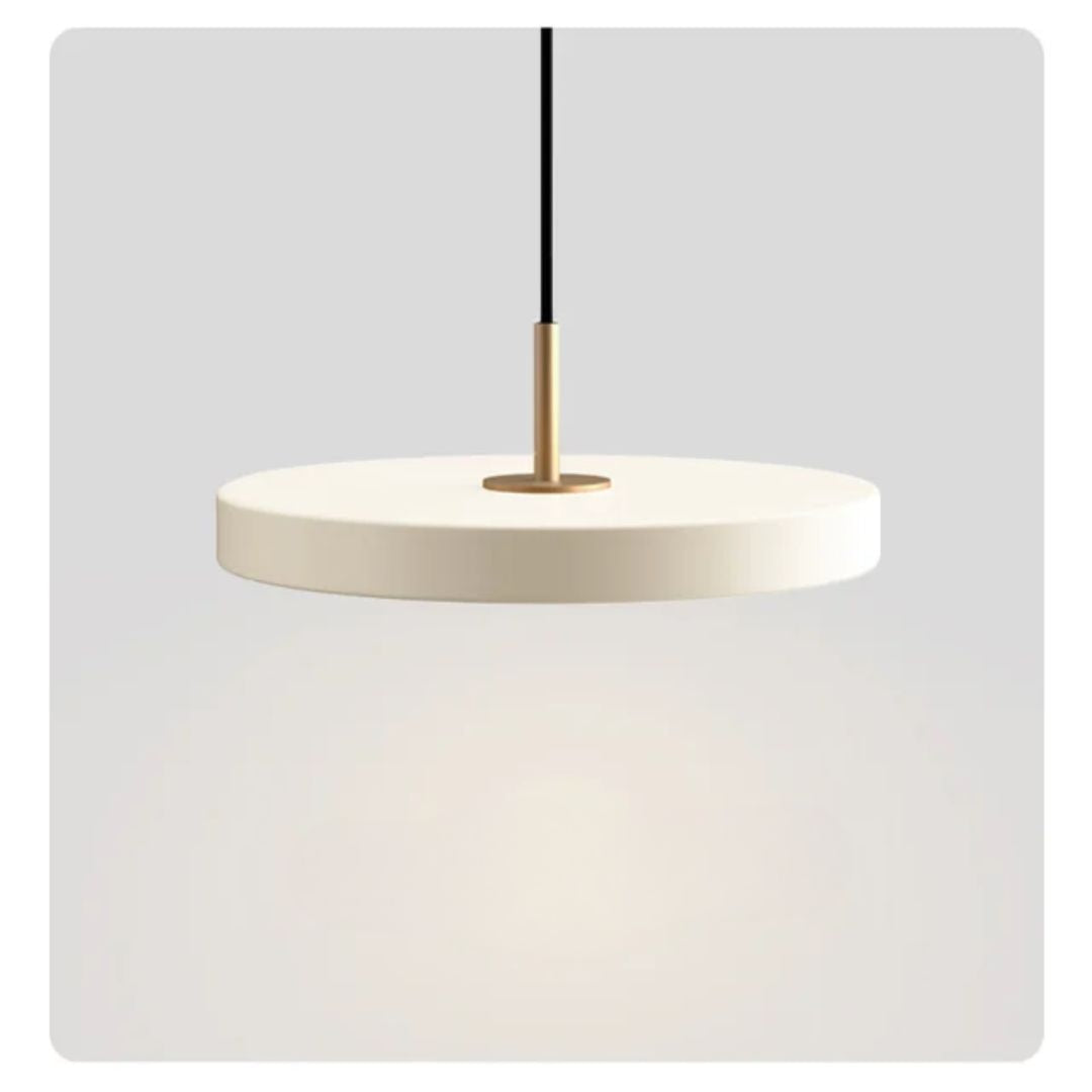 Flush Mount Ceiling Light | Modern Round Design with Brass Accents 8