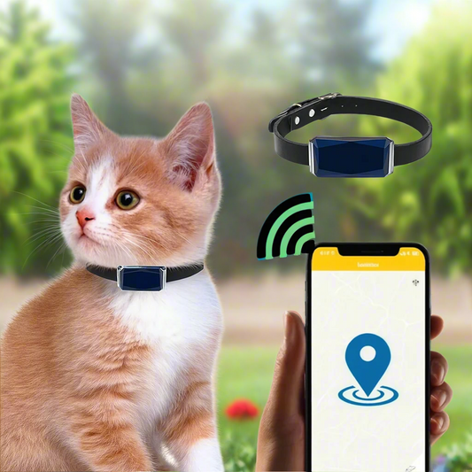 GPS Cat Tracker Collar | Real-Time Location Tracking with Mobile App 0