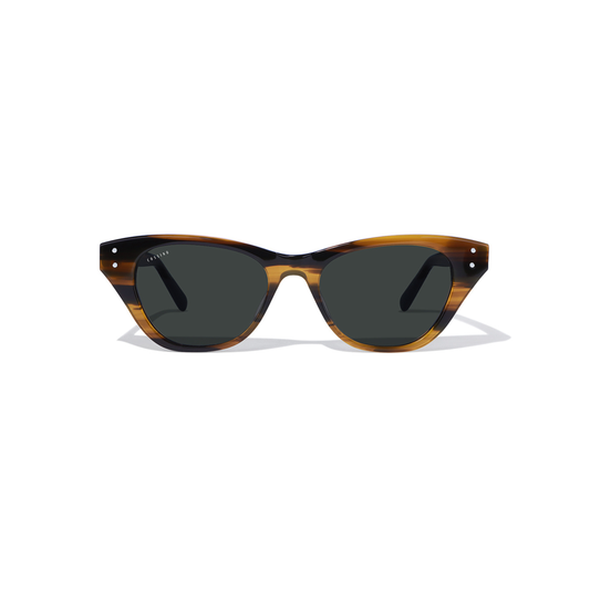 Belize Gato Acetate Sunglasses